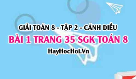 Bài 1 trang 35 Toán 8 Tập 2 Chân trời sáng tạo